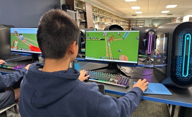 نسخه Goldberg چیست؟ شبیه‌ساز استیم و کاربرد آن